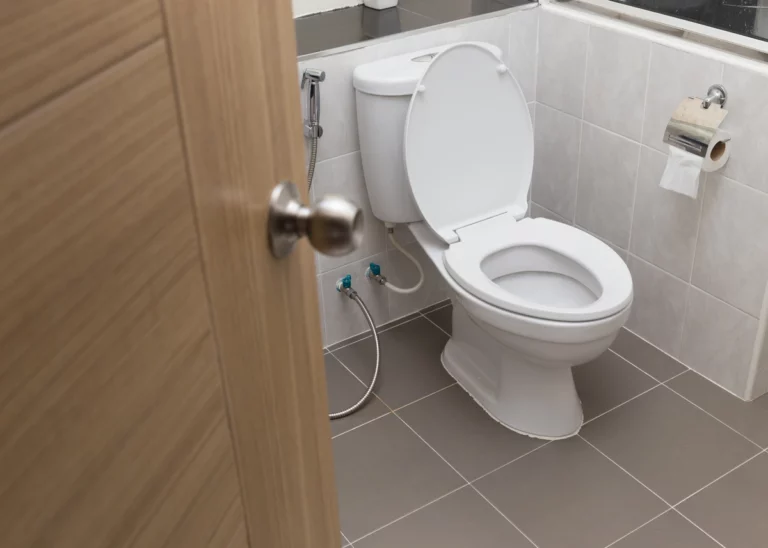 assessing plumbing in bathroom toilet